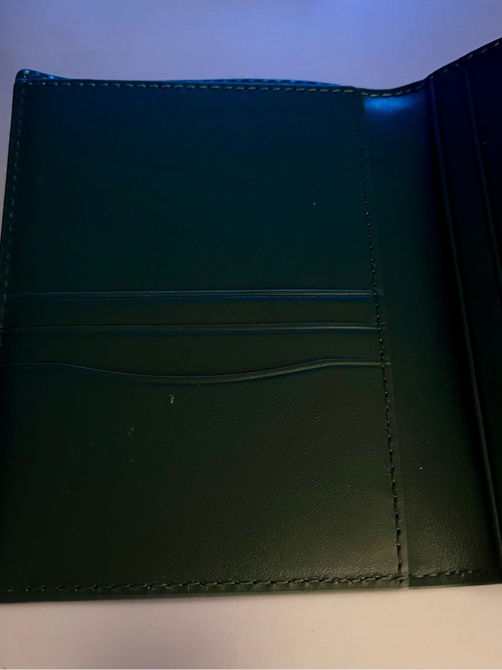 Nappa Leather RFID Blocking Passport Holder - Dark Green - Picture 4 of 6